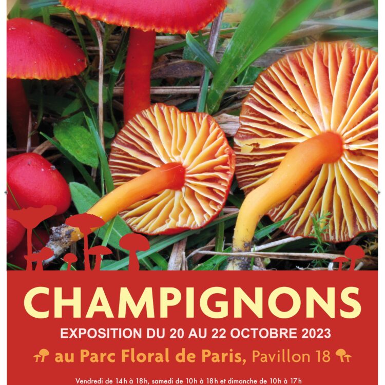 Société Mycologique De France - Mycologie, Champignons